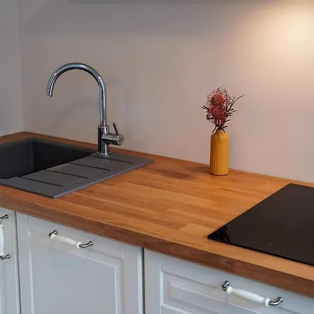 Centrally Located Cosy Studio Apartment Vilnius