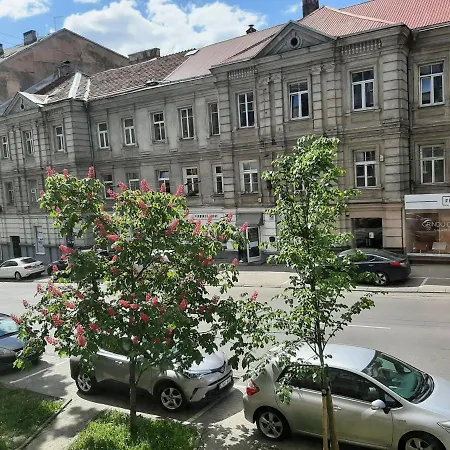 Centrally Located Cosy Studio Apartment *